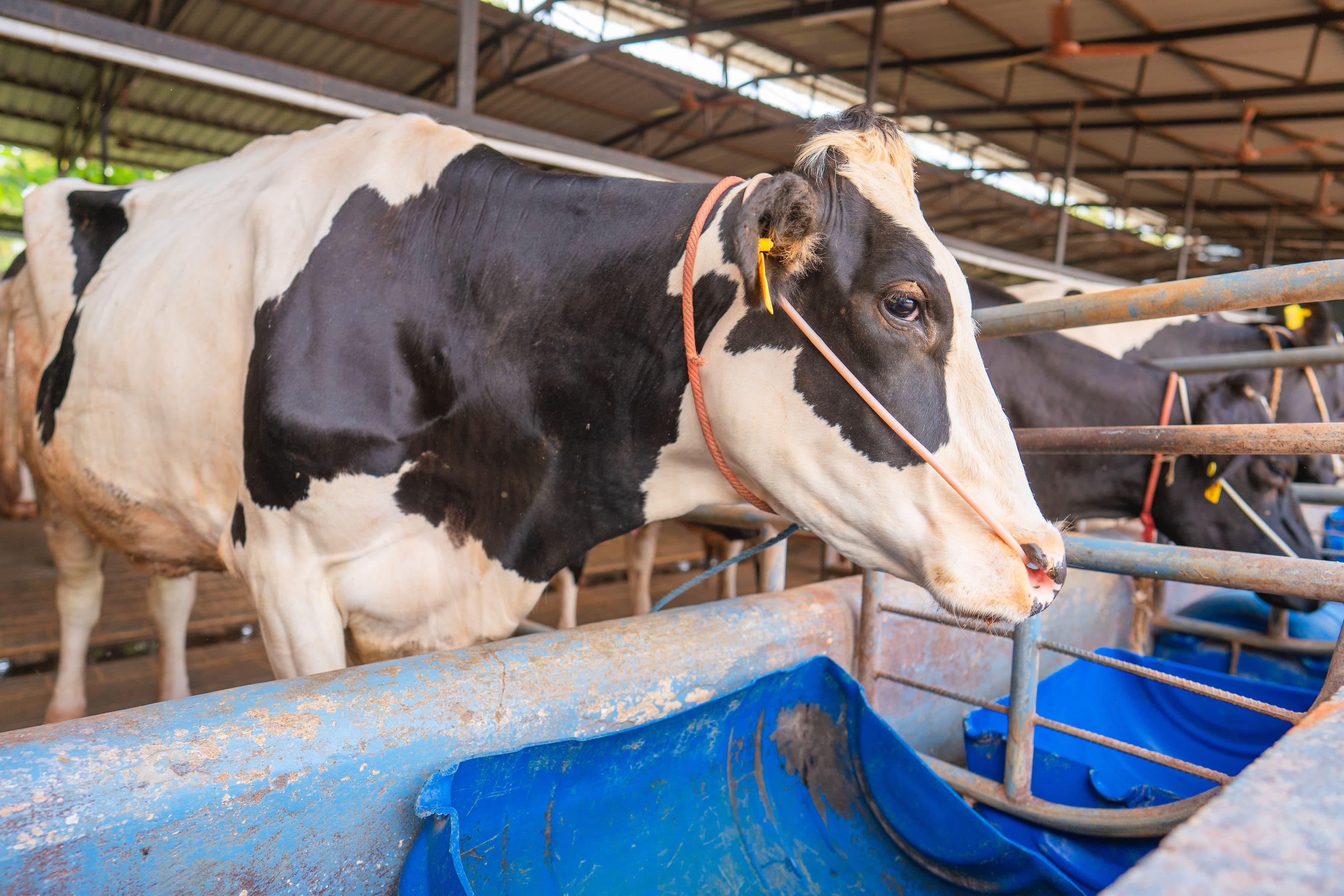 Quality and Safety Standards